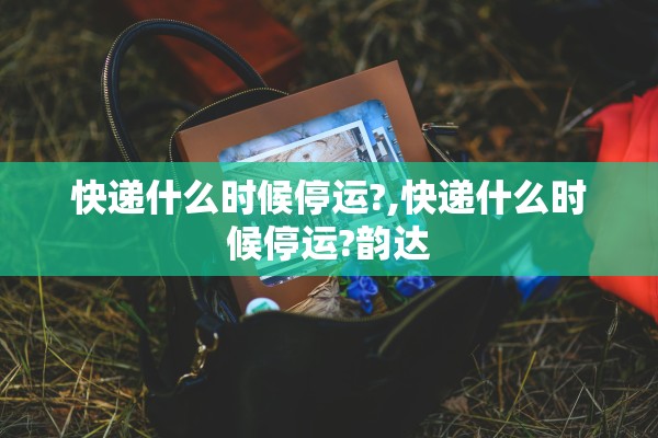 快递什么时候停运?,快递什么时候停运?韵达