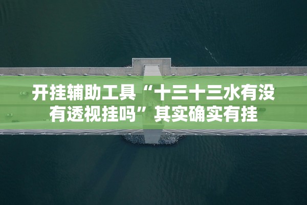 开挂辅助工具“十三十三水有没有透视挂吗”其实确实有挂