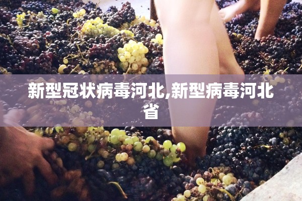 新型冠状病毒河北,新型病毒河北省