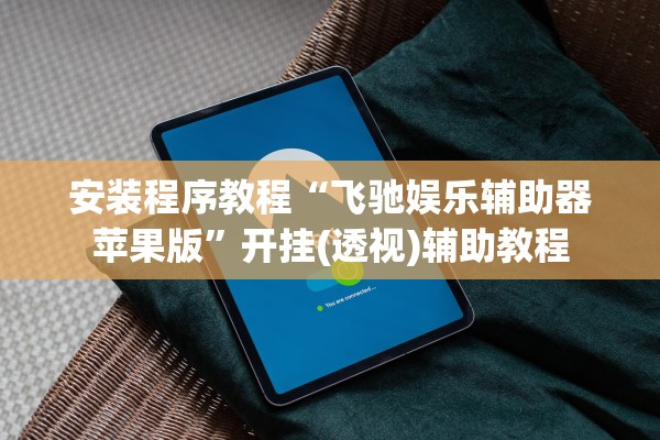 安装程序教程“飞驰娱乐辅助器苹果版”开挂(透视)辅助教程