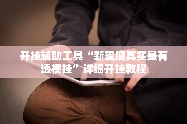 开挂辅助工具“新琉璃其实是有透视挂”详细开挂教程