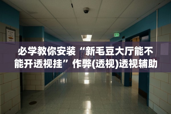 必学教你安装“新毛豆大厅能不能开透视挂”作弊(透视)透视辅助 