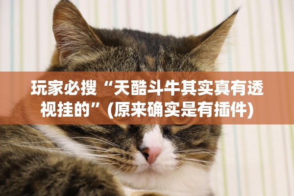 玩家必搜“天酷斗牛其实真有透视挂的	”(原来确实是有插件)