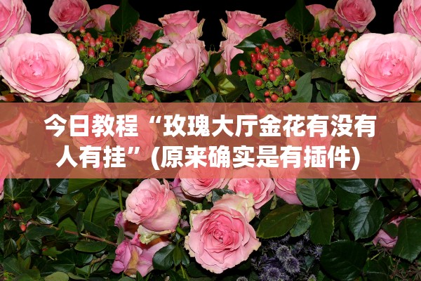 今日教程“玫瑰大厅金花有没有人有挂”(原来确实是有插件) 