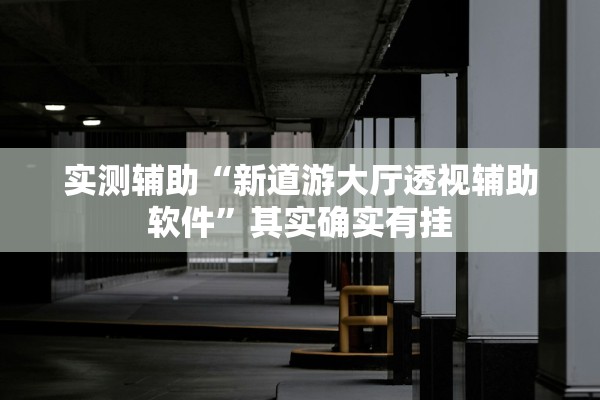 实测辅助“新道游大厅透视辅助软件”其实确实有挂