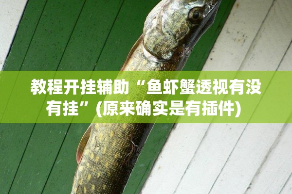 教程开挂辅助“鱼虾蟹透视有没有挂”(原来确实是有插件) 