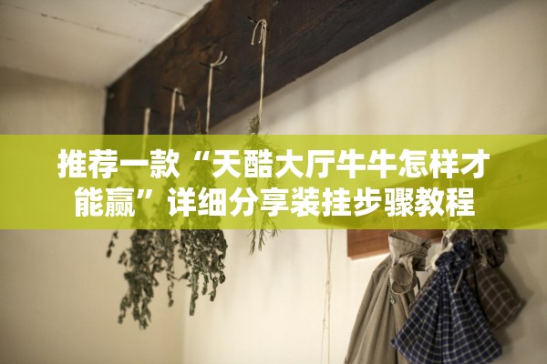 推荐一款“天酷大厅牛牛怎样才能赢”详细分享装挂步骤教程