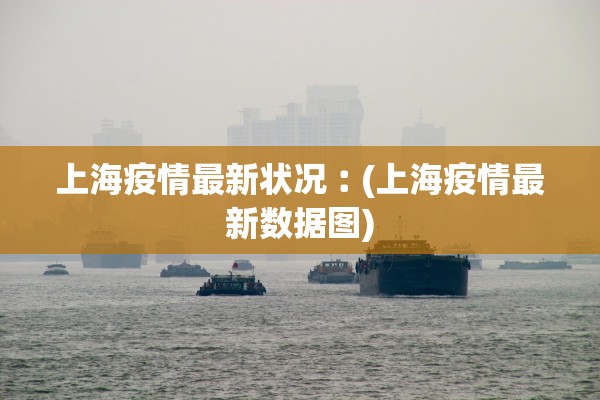 上海疫情最新状况︰(上海疫情最新数据图)