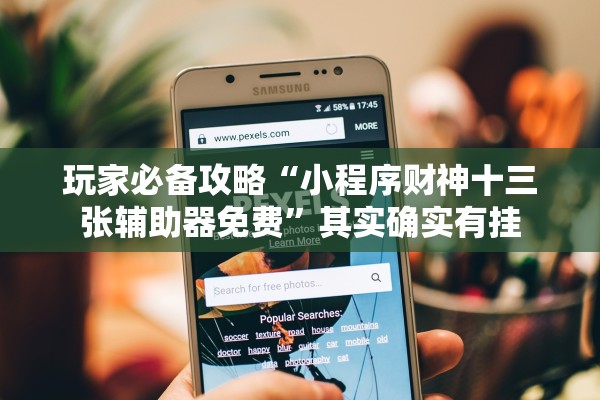 玩家必备攻略“小程序财神十三张辅助器免费”其实确实有挂