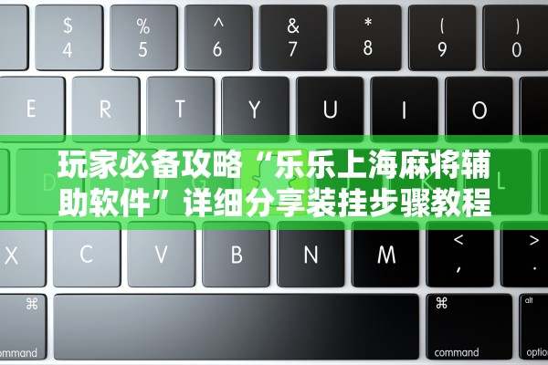 玩家必备攻略“乐乐上海麻将辅助软件	”详细分享装挂步骤教程