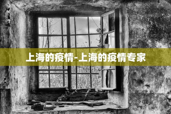 上海的疫情-上海的疫情专家