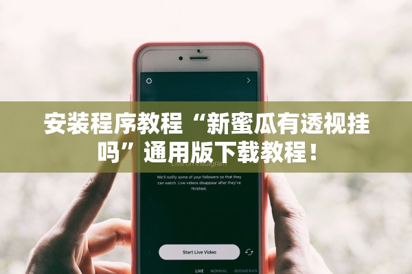 安装程序教程“新蜜瓜有透视挂吗”通用版下载教程！