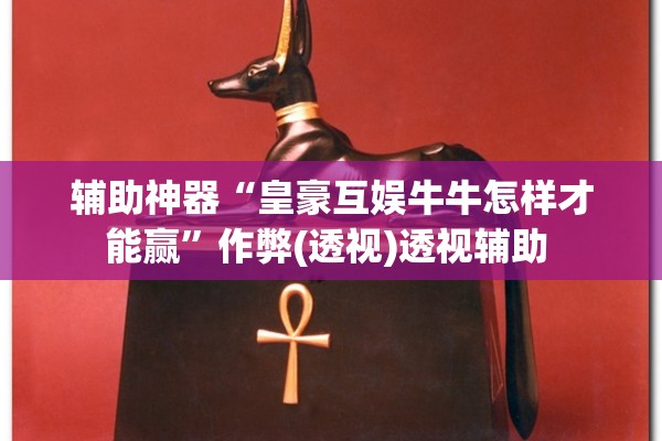 辅助神器“皇豪互娱牛牛怎样才能赢”作弊(透视)透视辅助 