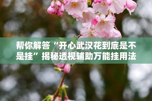 帮你解答“开心武汉花到底是不是挂”揭秘透视辅助万能挂用法