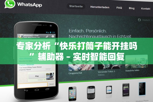 专家分析“快乐打筒子能开挂吗”辅助器 – 实时智能回复