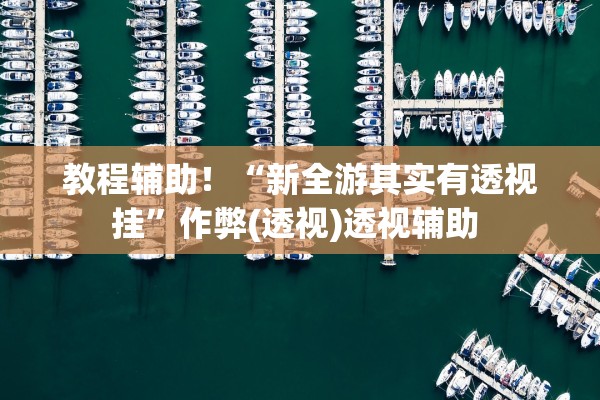 教程辅助！“新全游其实有透视挂”作弊(透视)透视辅助 