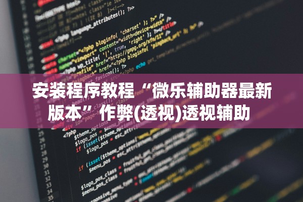 安装程序教程“微乐辅助器最新版本”作弊(透视)透视辅助 