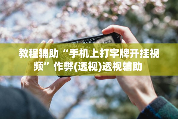 教程辅助“手机上打字牌开挂视频”作弊(透视)透视辅助 