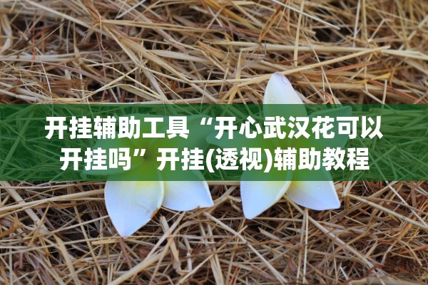 开挂辅助工具“开心武汉花可以开挂吗”开挂(透视)辅助教程