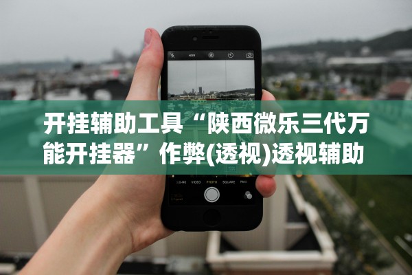 开挂辅助工具“陕西微乐三代万能开挂器”作弊(透视)透视辅助 