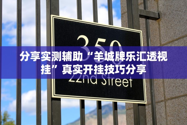 分享实测辅助“羊城牌乐汇透视挂”真实开挂技巧分享