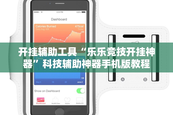 开挂辅助工具“乐乐竞技开挂神器”科技辅助神器手机版教程