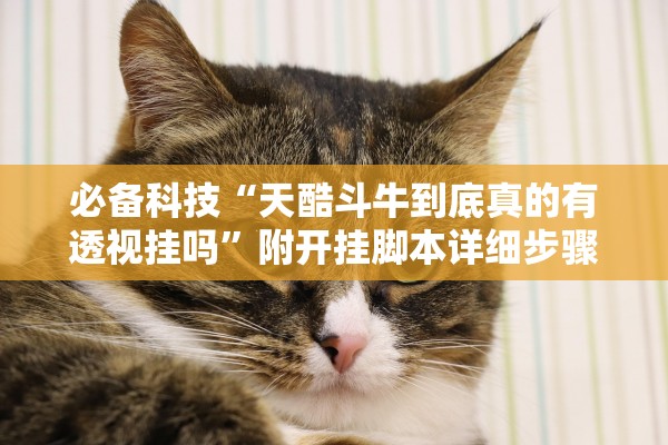 必备科技“天酷斗牛到底真的有透视挂吗”附开挂脚本详细步骤