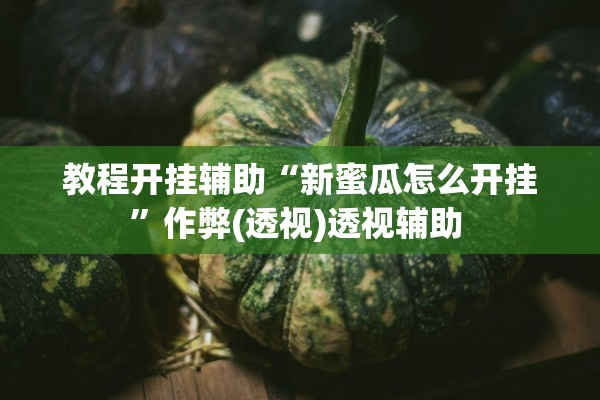 教程开挂辅助“新蜜瓜怎么开挂”作弊(透视)透视辅助 