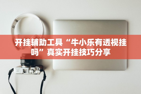 开挂辅助工具“牛小乐有透视挂吗”真实开挂技巧分享