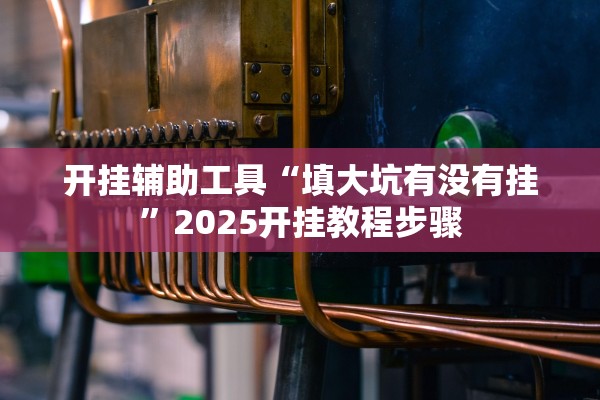 开挂辅助工具“填大坑有没有挂”2025开挂教程步骤