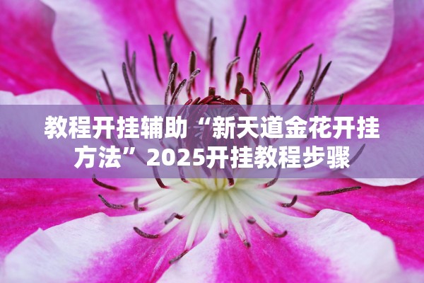 教程开挂辅助“新天道金花开挂方法”2025开挂教程步骤