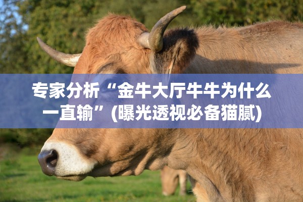 专家分析“金牛大厅牛牛为什么一直输	”(曝光透视必备猫腻)