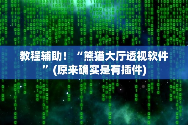 教程辅助！“熊猫大厅透视软件”(原来确实是有插件)