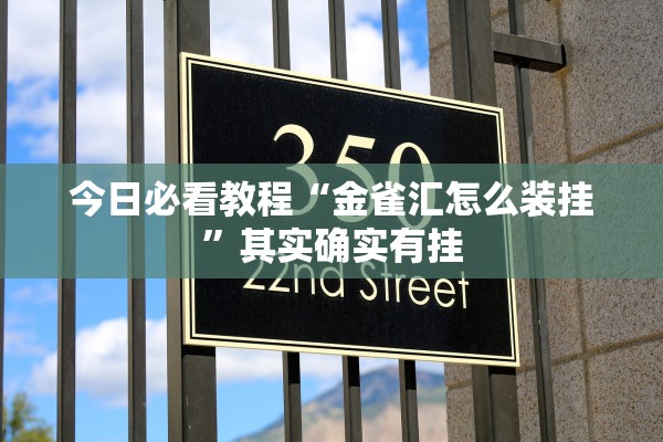 今日必看教程“金雀汇怎么装挂”其实确实有挂