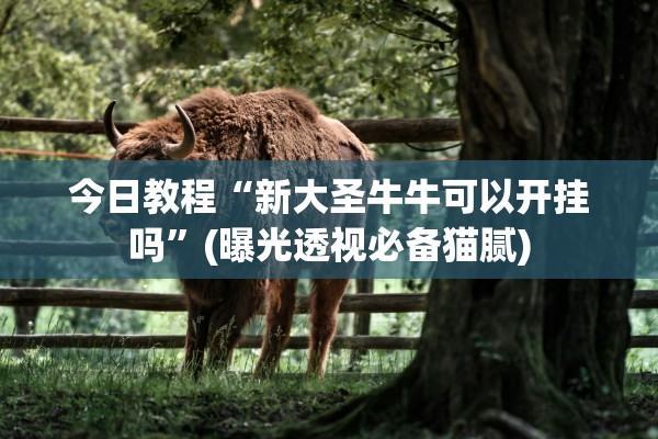 今日教程“新大圣牛牛可以开挂吗”(曝光透视必备猫腻)