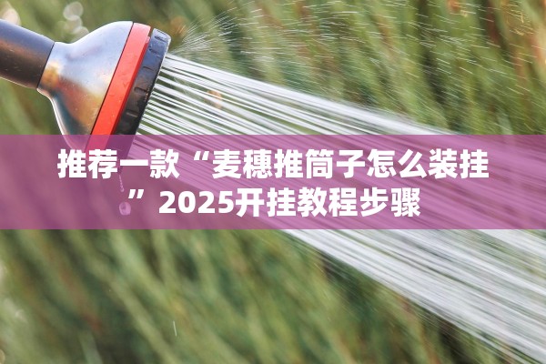 推荐一款“麦穗推筒子怎么装挂	”2025开挂教程步骤