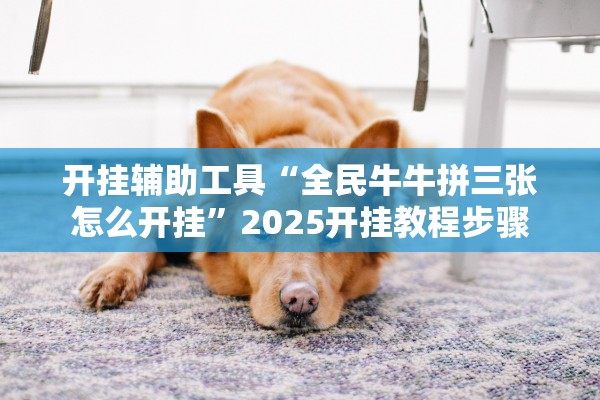 开挂辅助工具“全民牛牛拼三张怎么开挂”2025开挂教程步骤
