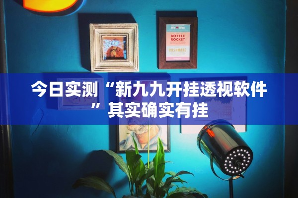 今日实测“新九九开挂透视软件”其实确实有挂