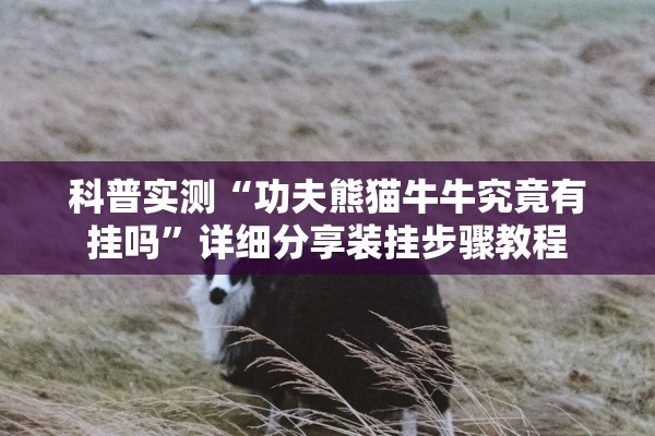 科普实测“功夫熊猫牛牛究竟有挂吗”详细分享装挂步骤教程