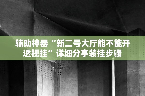 辅助神器“新二号大厅能不能开透视挂”详细分享装挂步骤