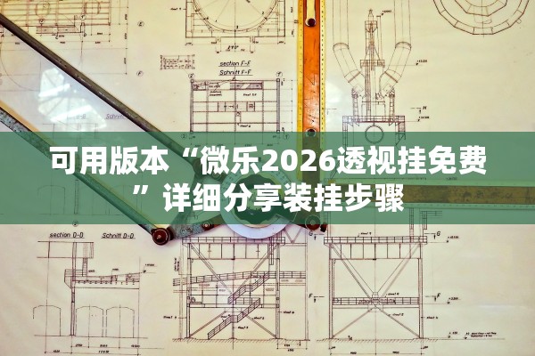 可用版本“微乐2026透视挂免费”详细分享装挂步骤