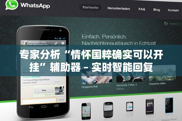 专家分析“情怀国粹确实可以开挂”辅助器 – 实时智能回复