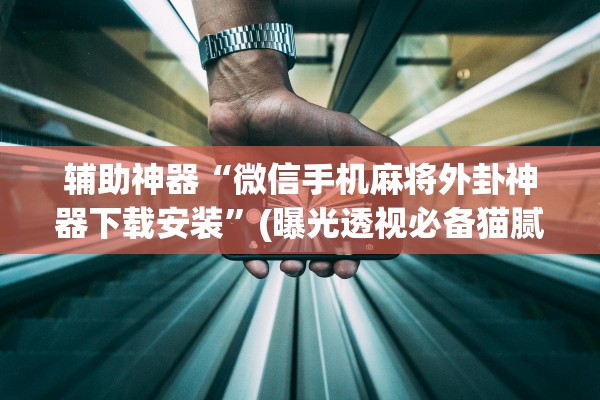 辅助神器“微信手机麻将外卦神器下载安装	”(曝光透视必备猫腻)