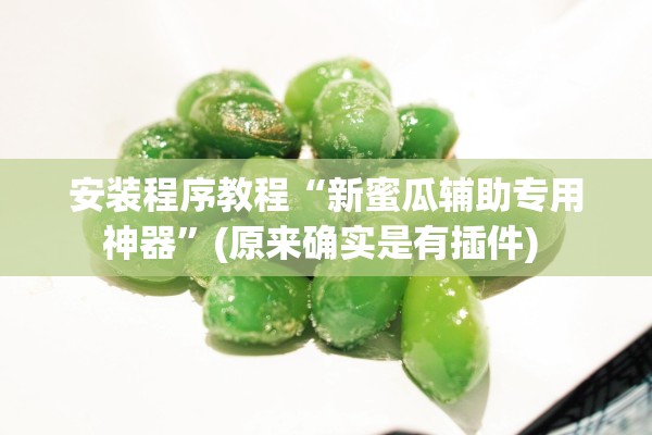 安装程序教程“新蜜瓜辅助专用神器	”(原来确实是有插件) 