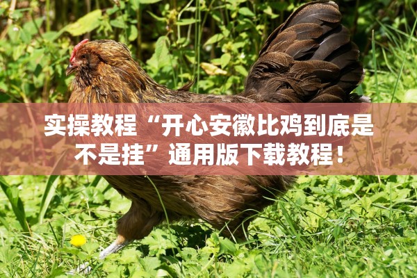 实操教程“开心安徽比鸡到底是不是挂	”通用版下载教程！