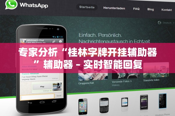专家分析“桂林字牌开挂辅助器”辅助器 – 实时智能回复