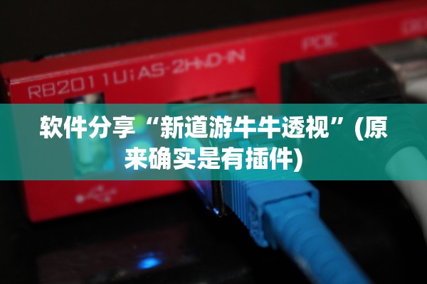 软件分享“新道游牛牛透视”(原来确实是有插件)
