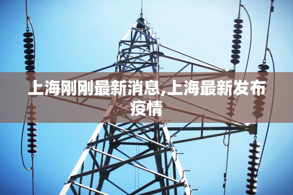 上海刚刚最新消息,上海最新发布疫情