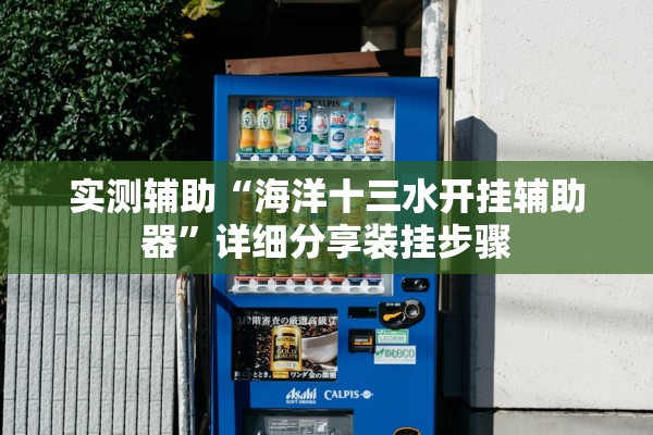 实测辅助“海洋十三水开挂辅助器”详细分享装挂步骤