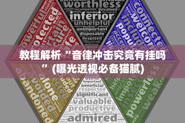 教程解析“音律冲击究竟有挂吗”(曝光透视必备猫腻)